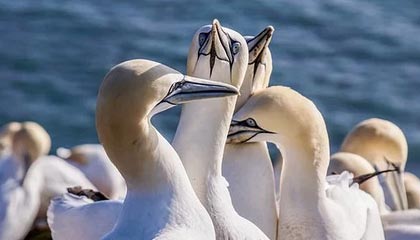 爱游戏APP-前国足主帅李铁被判20年，涉多项罪名，李铁出任国足新帅