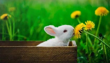 爱游戏APP-前国足主帅李铁被判20年，涉多项罪名，李铁出任国足新帅