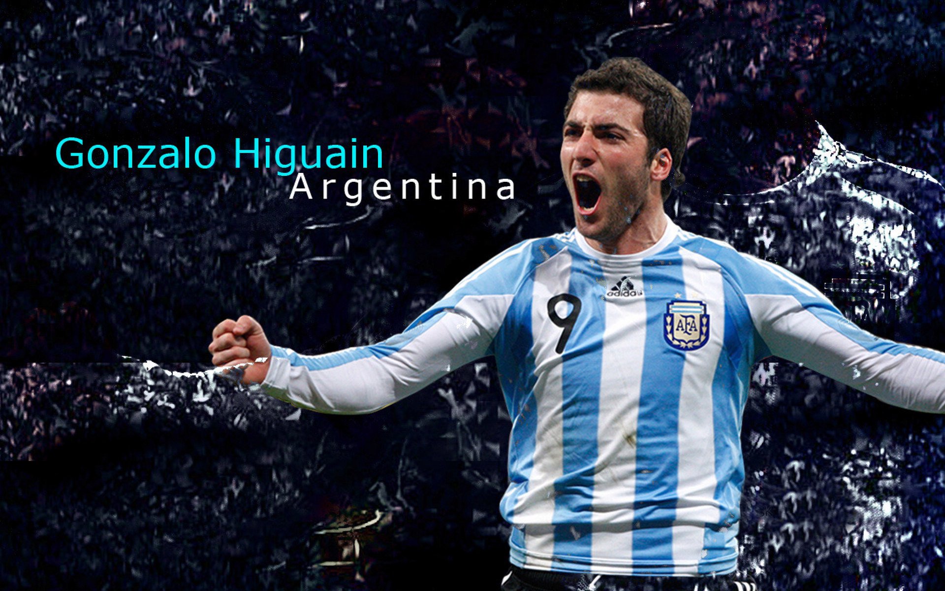 弗朗索瓦·霍尔茨豪伊泽:背后指挥的能手,关键时刻助南非队稳操胜券